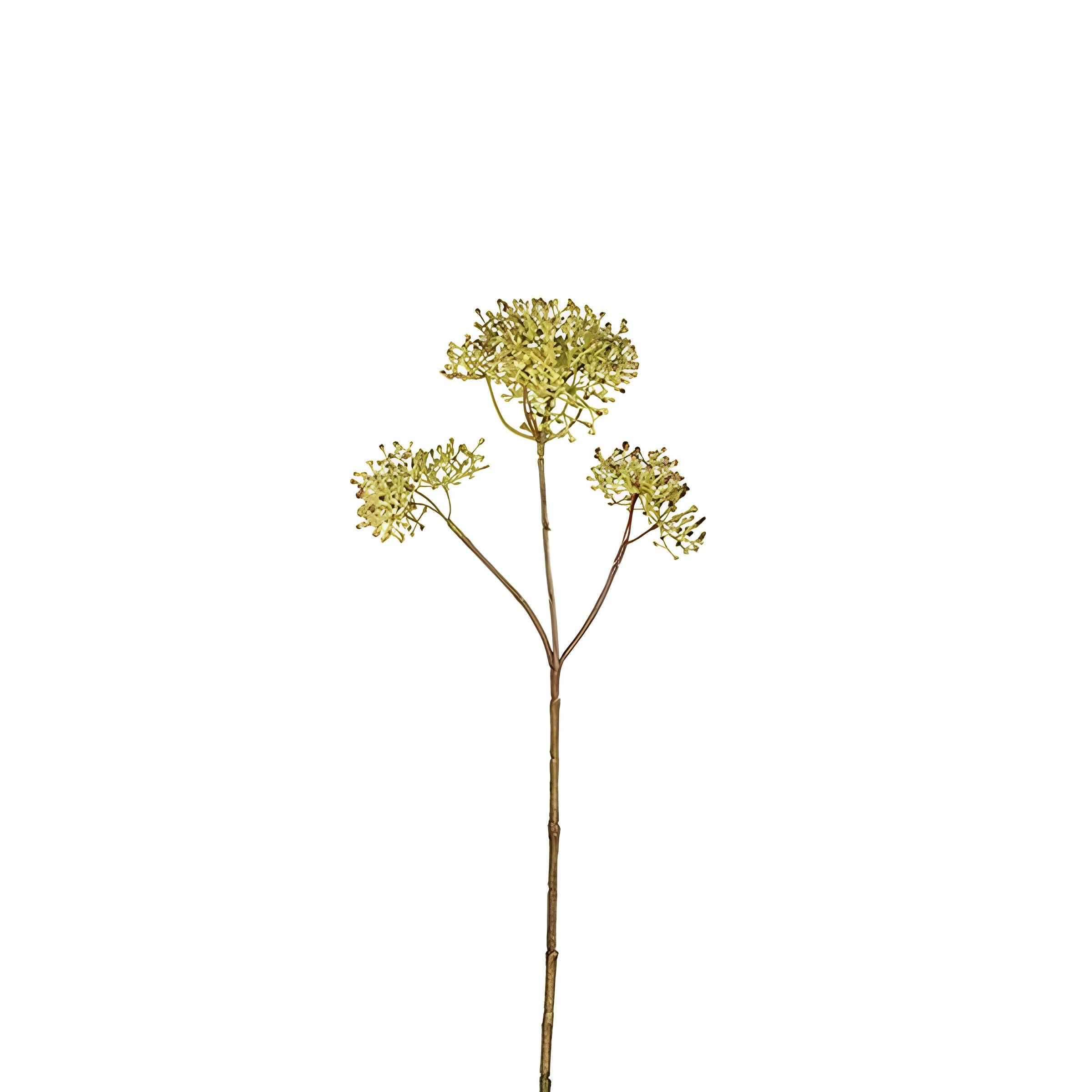 sia-deco-noah-skimmia-feuillage-artificiel-marron-40-cm-baies image 4