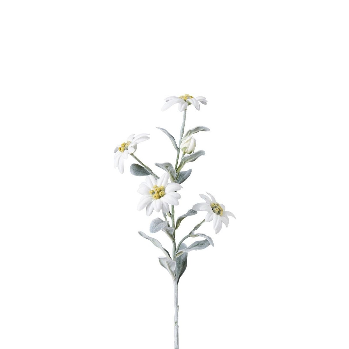 sia-noah-edelweiss-tige-fleur-blanche-45-cm image 3