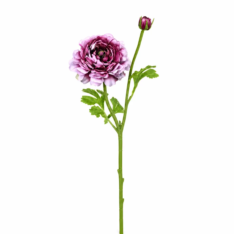 sia-deco-nora-tige-renoncule-artificielle-40-cm-rose-p-le image 1
