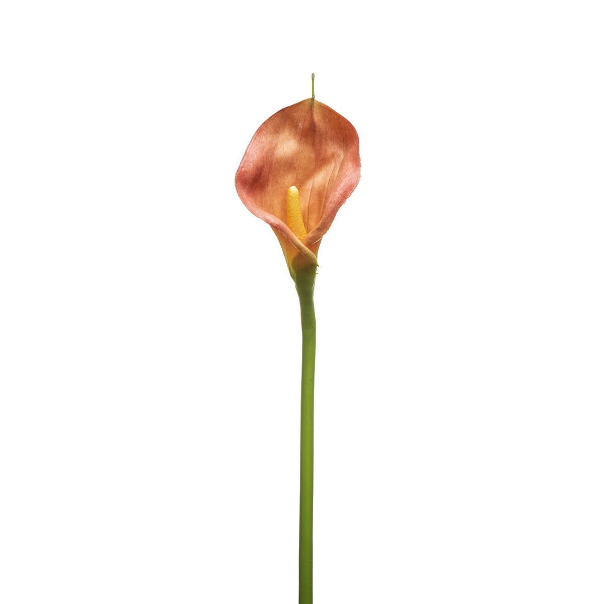 sia-deco-noah-tige-d-arum-artificiel-orange-78-cm image 1