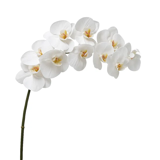 sia-deco-noah-tige-orchid-e-blanche-100cm-premium image 1