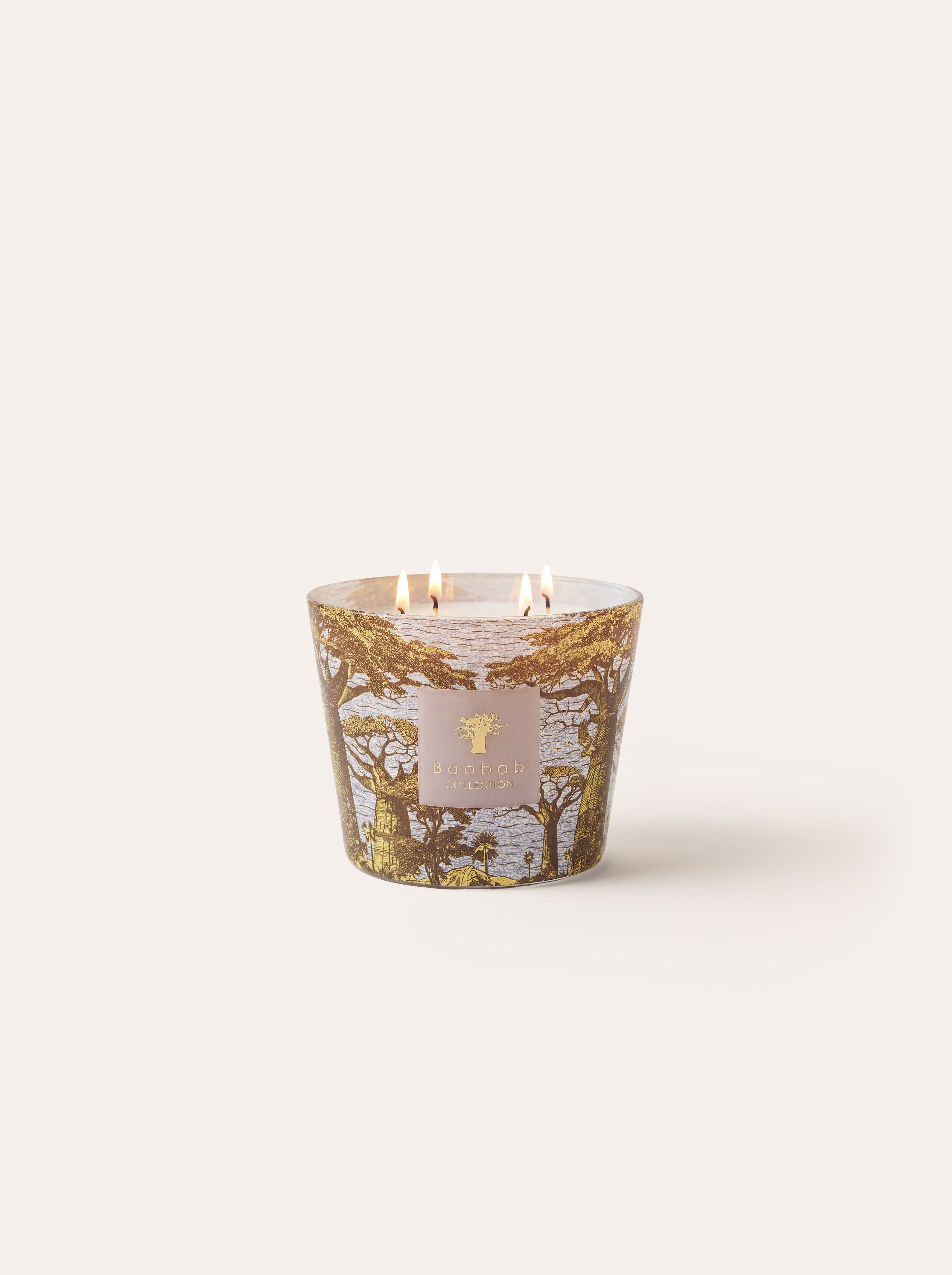 baobab-collection-sacred-trees-bounkani-bougie-parfum-e-classique image 7