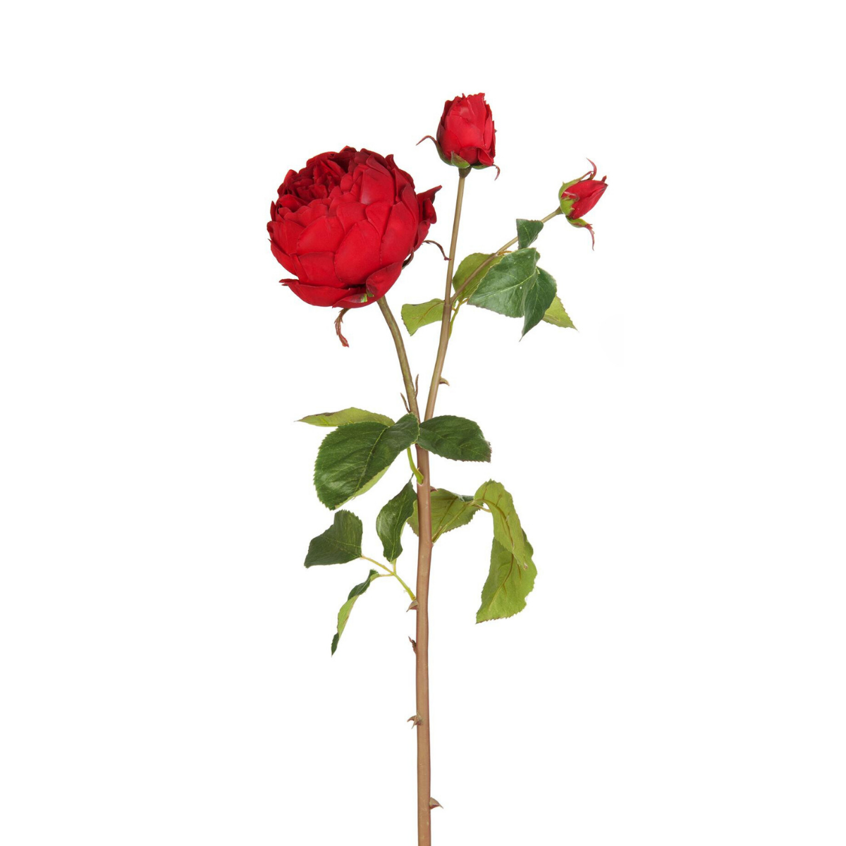 sia-deco-noah-david-tige-rose-ferm-e-artificielle-rose-p-le-80cm image 7