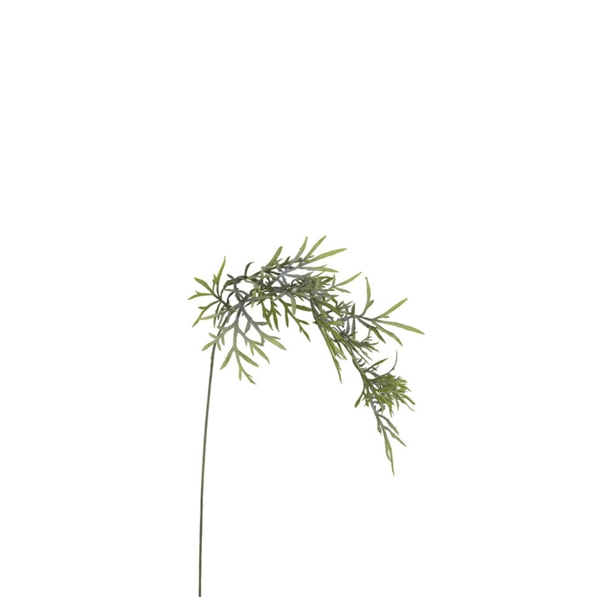 sia-deco-noah-feuillage-herbe-tombante-verte-70-cm-tige-artificielle image 1