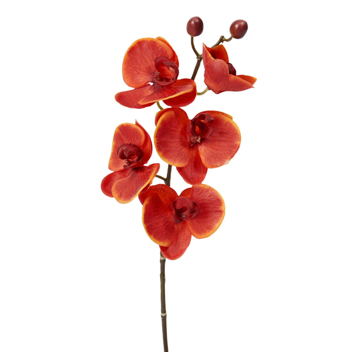 sia-deco-noah-forever-tige-orchid-e-artificielle-fuchsia image 4