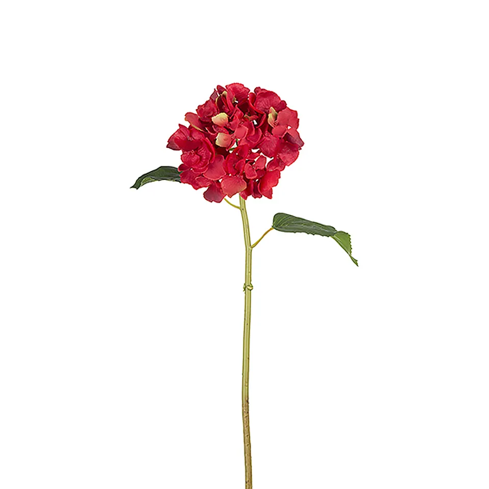 sia-deco-noah-selena-tige-hortensia-rouge-50-cm image 1