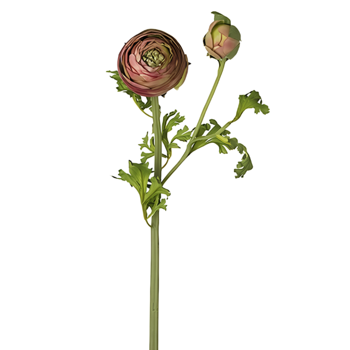 sia-noah-tige-renoncule-premium-56-cm-fleur-artificielle-rouge image 5