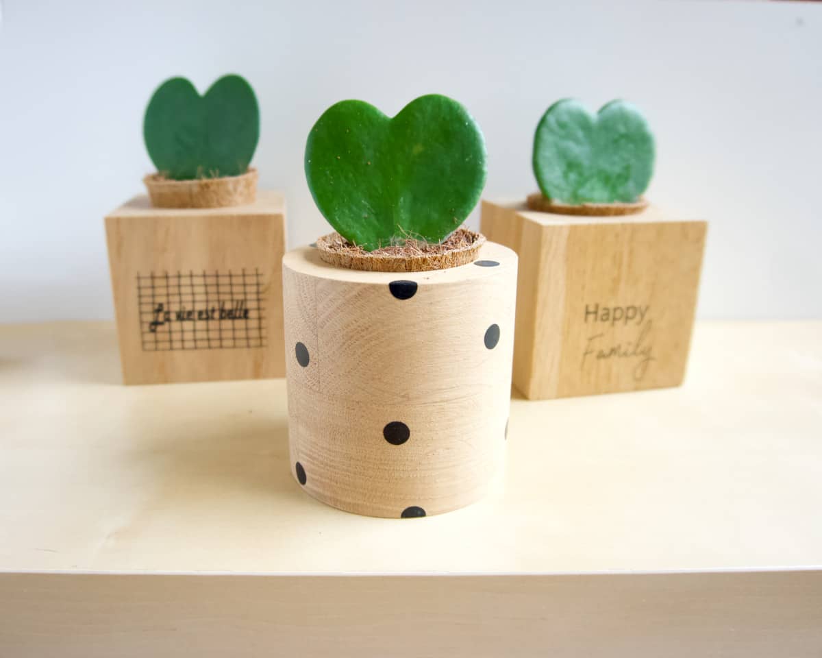 am-cla-pots-cache-pot-bois-rond-pois-noirs-9cm-ch-ne image 4