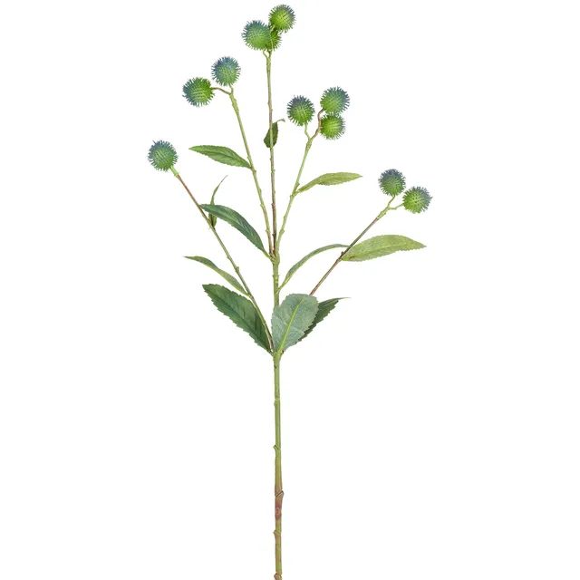 sia-noah-tige-graine-bardane-bleu-vert-78-cm image 1