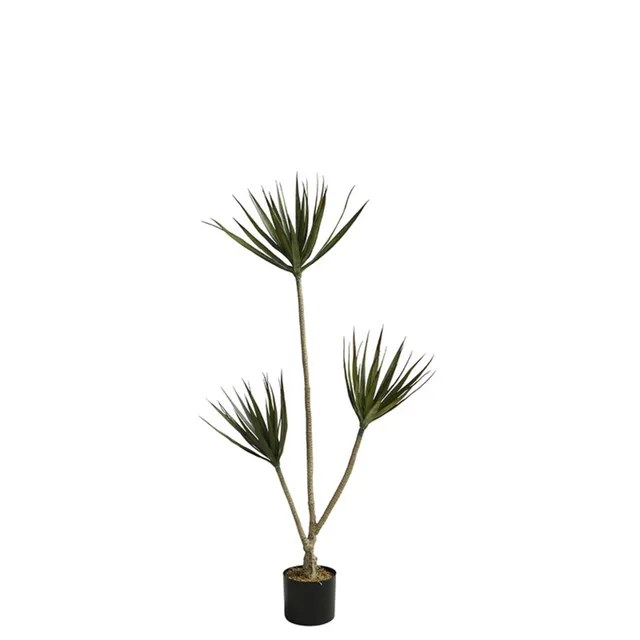 sia-noah-cordyline-arbre-artificiel-vert-pot-120-cm image 1