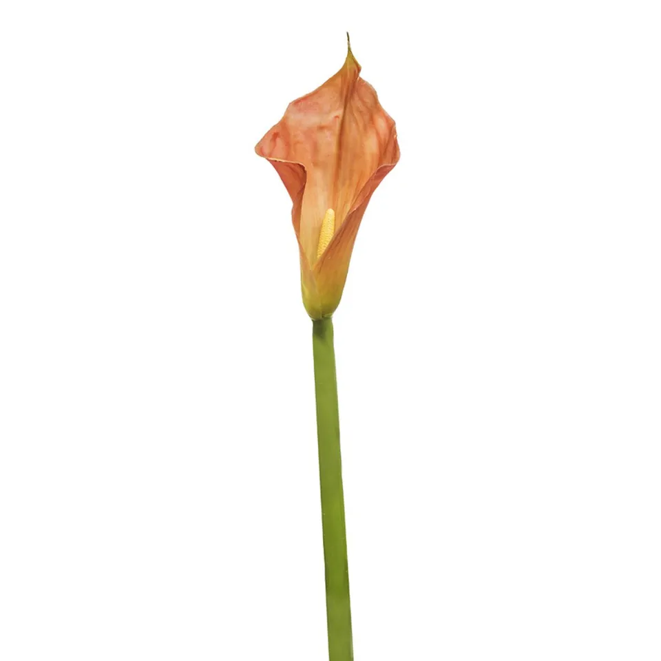 sia-deco-noah-kelly-tige-fleur-artificielle-orange-105-cm image 1
