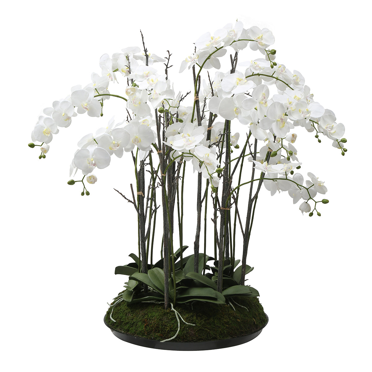 sia-deco-noah-orchid-e-artificielle-blanc-113-cm image 1