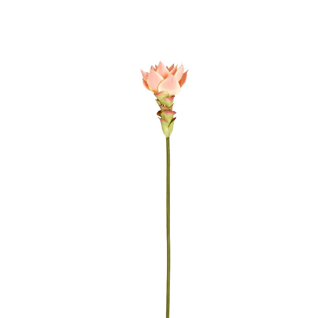 sia-deco-noah-miami-tige-gingembre-fleur-artificielle-rose-48-cm image 1