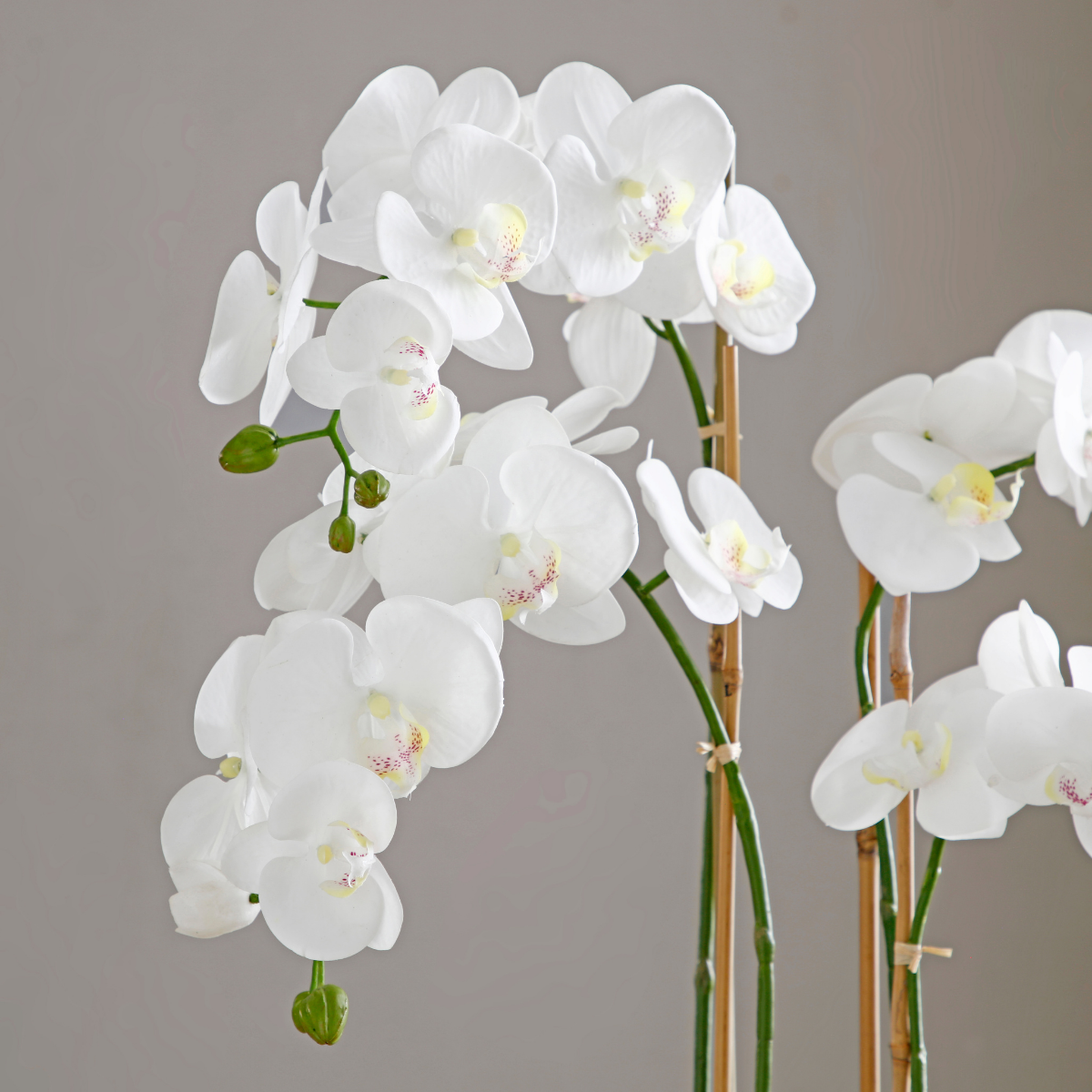 sia-deco-noah-orchid-e-artificielle-vase-dor-blanc-79-cm image 4