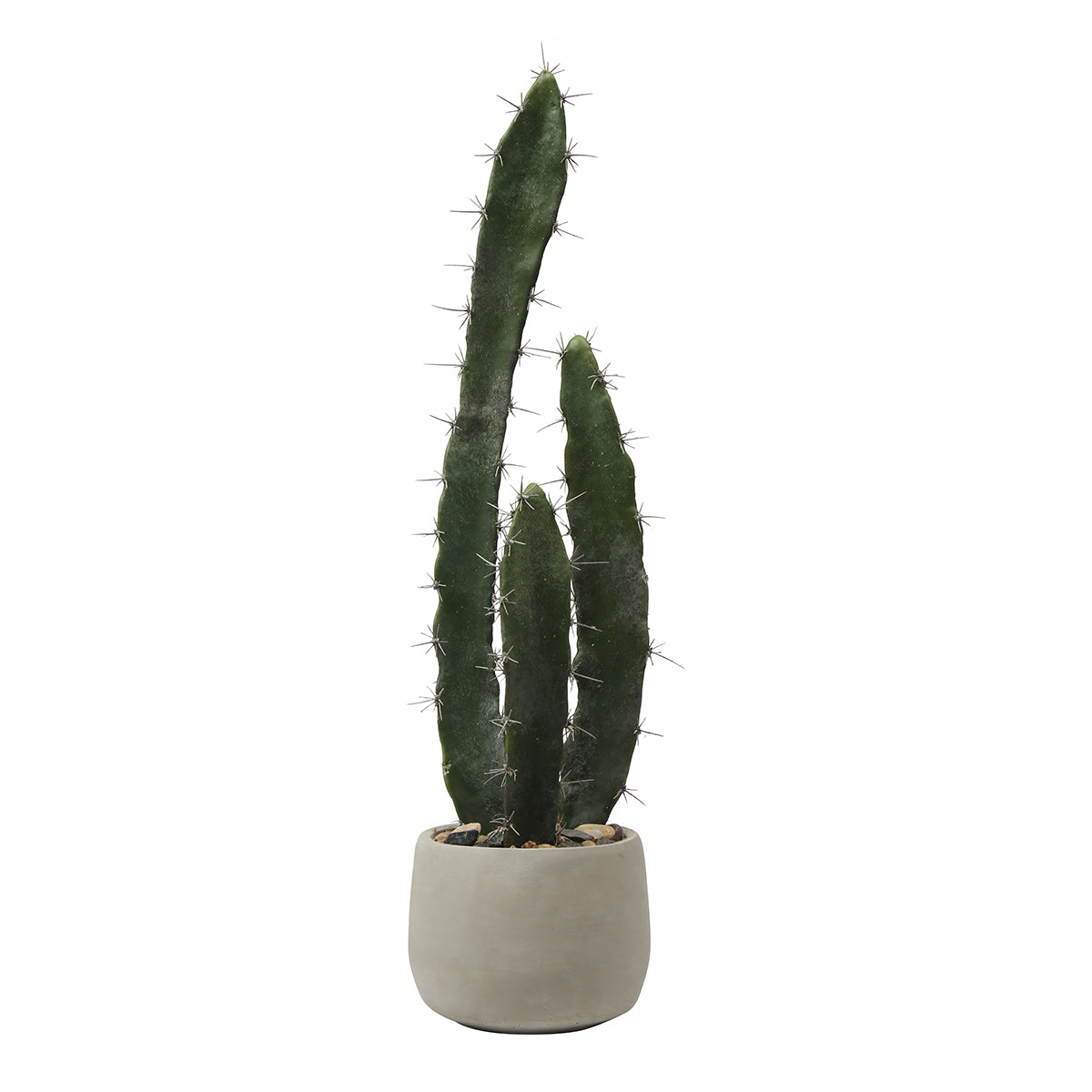 sia-deco-noah-cactus-plante-artificielle-vert-64-cm-pot-gris image 1