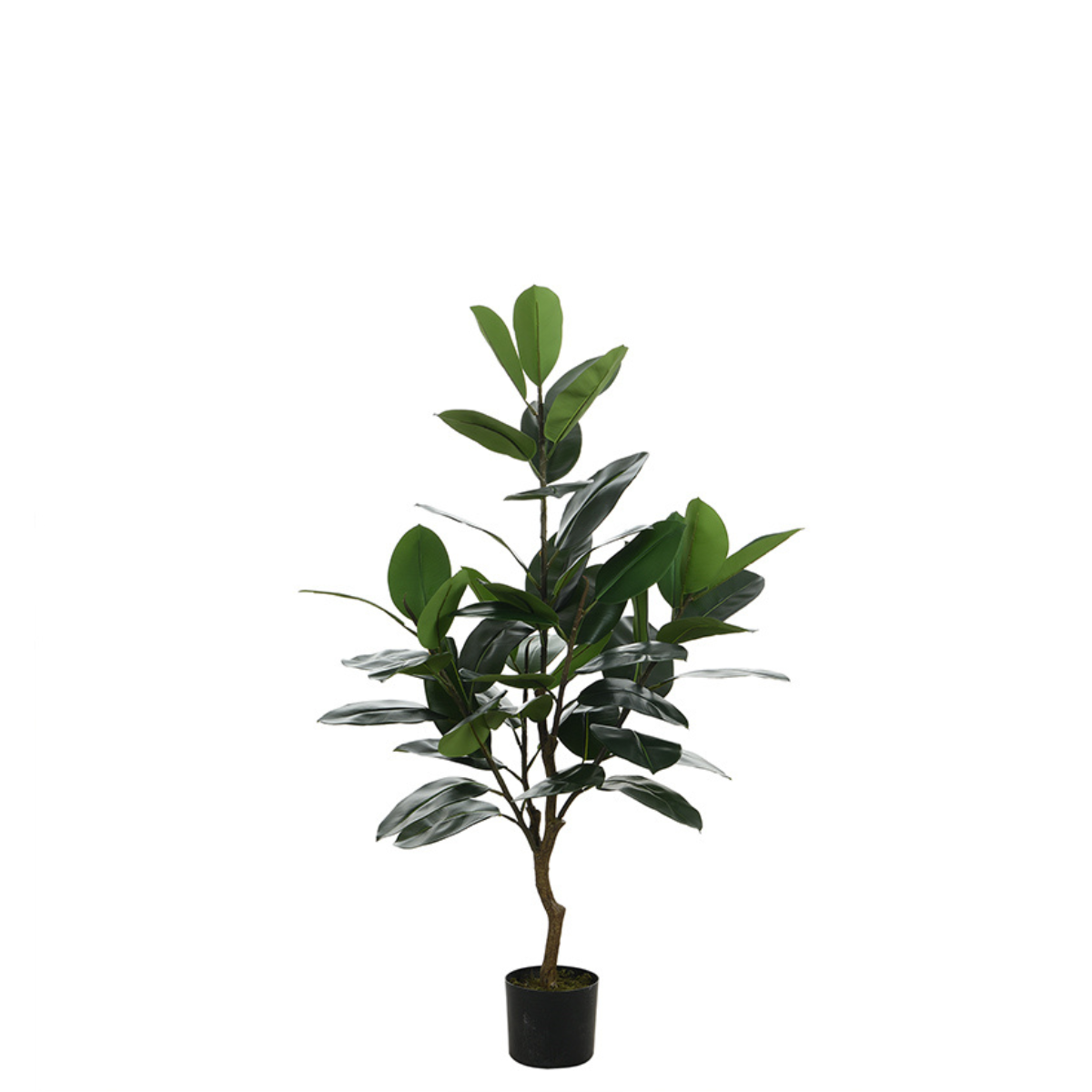 sia-noah-ficus-en-pot-vert-130-cm-elastica image 1