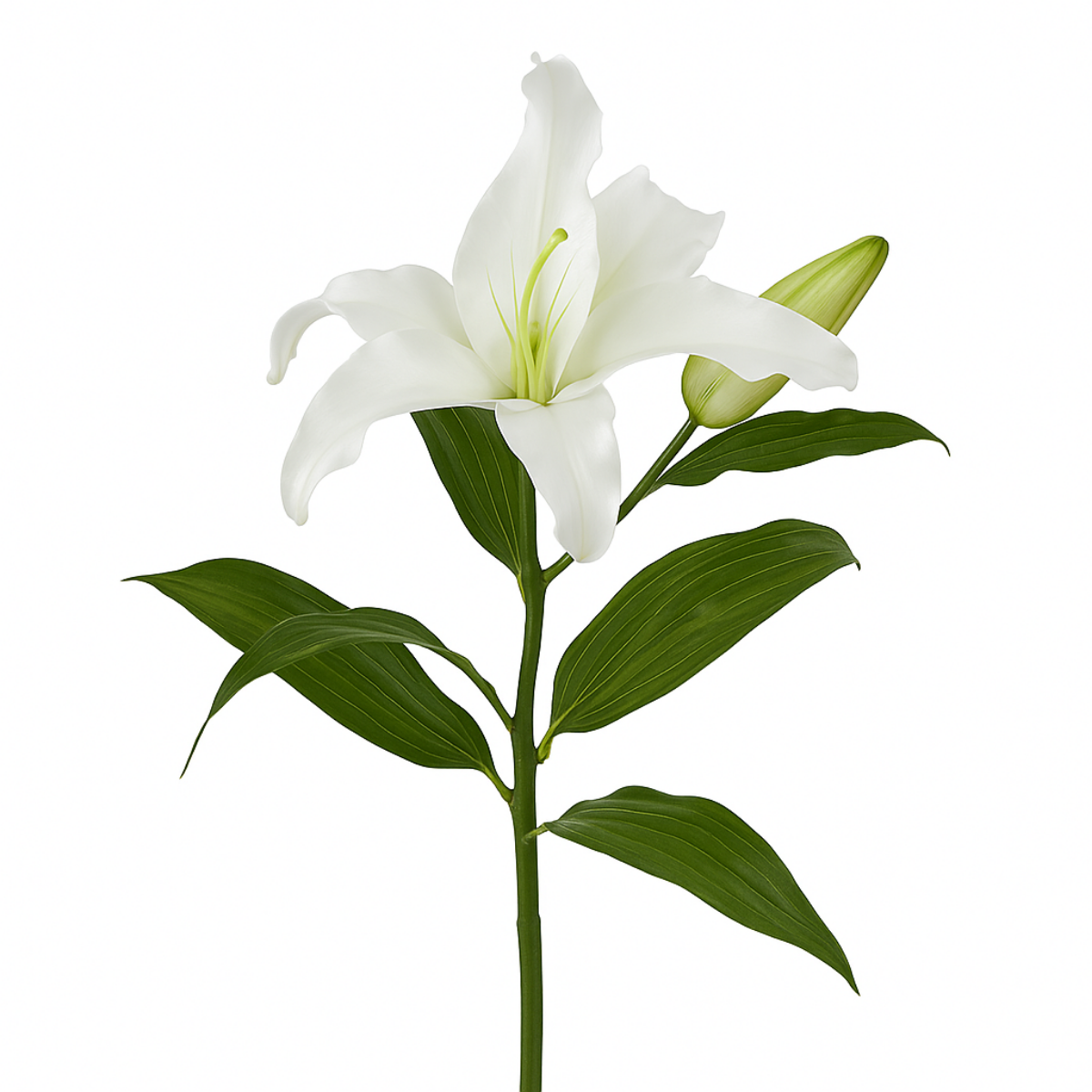 sia-noah-lys-casablanca-fleur-artificielle-65-cm-blanc image 1