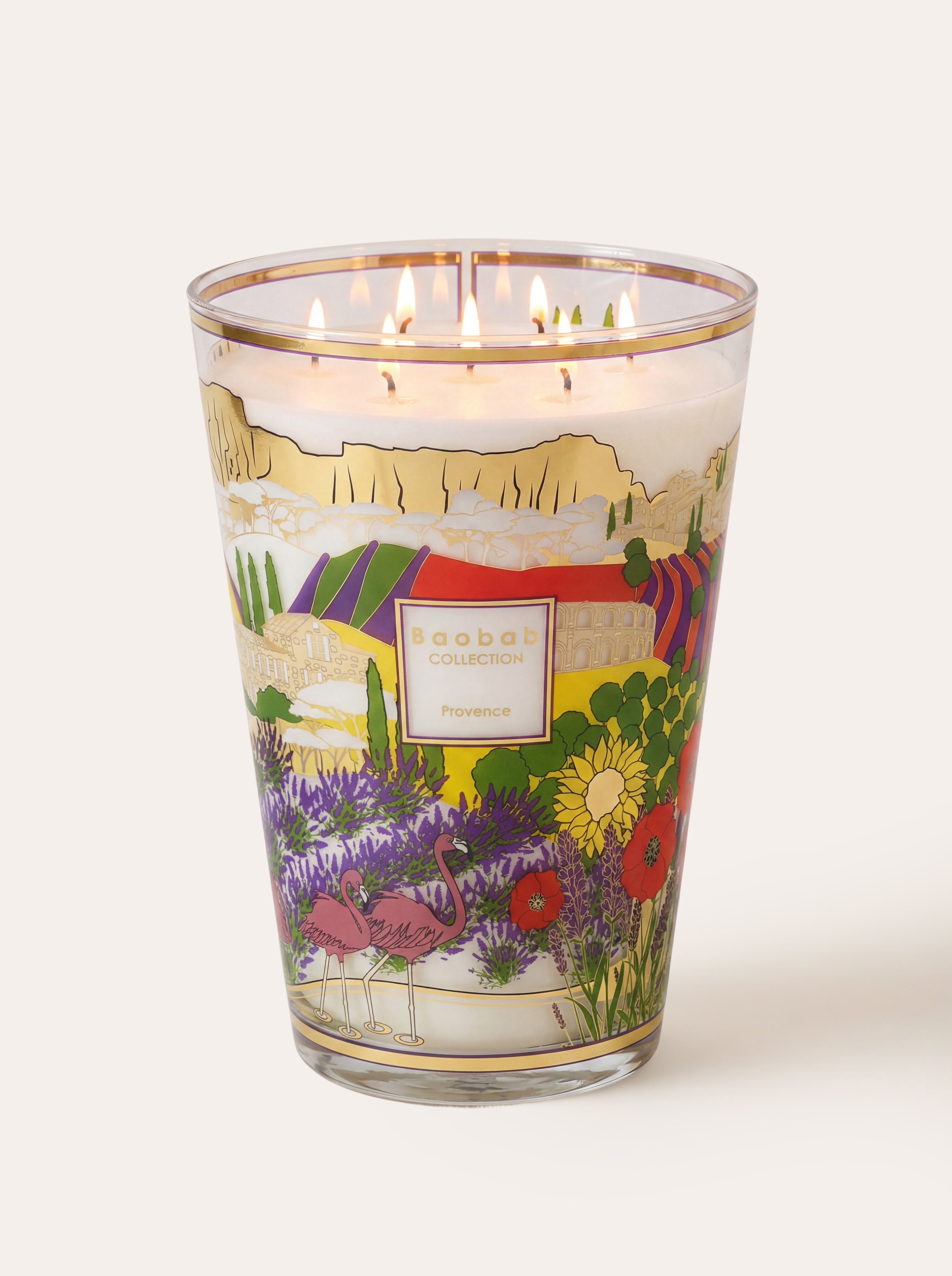 baobab-collection-provence-bougie-parfum-e-classique-s-rigraphi-e image 6