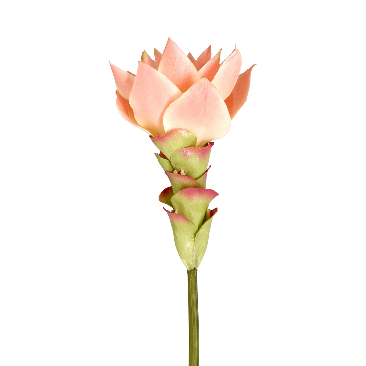 sia-deco-noah-miami-tige-gingembre-fleur-artificielle-rose-48-cm image 2