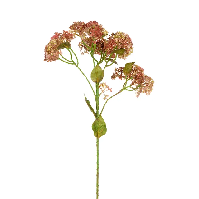 sia-noah-sedum-artificiel-58-cm-rose-et-vert image 1