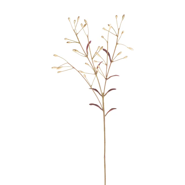 sia-noah-feuillage-fantaisie-dor-73-cm image 1