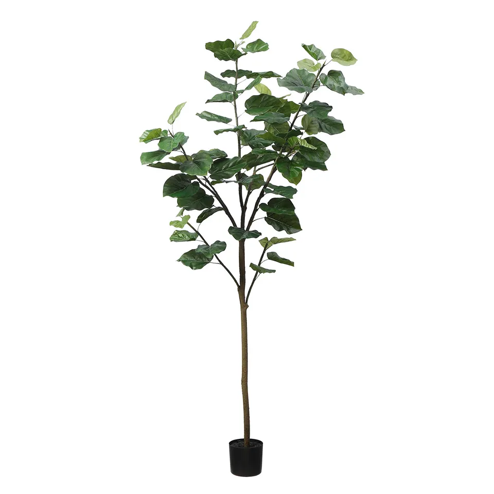 sia-noah-ficus-parapluie-artificiel-vert-210-cm-en-pot image 1