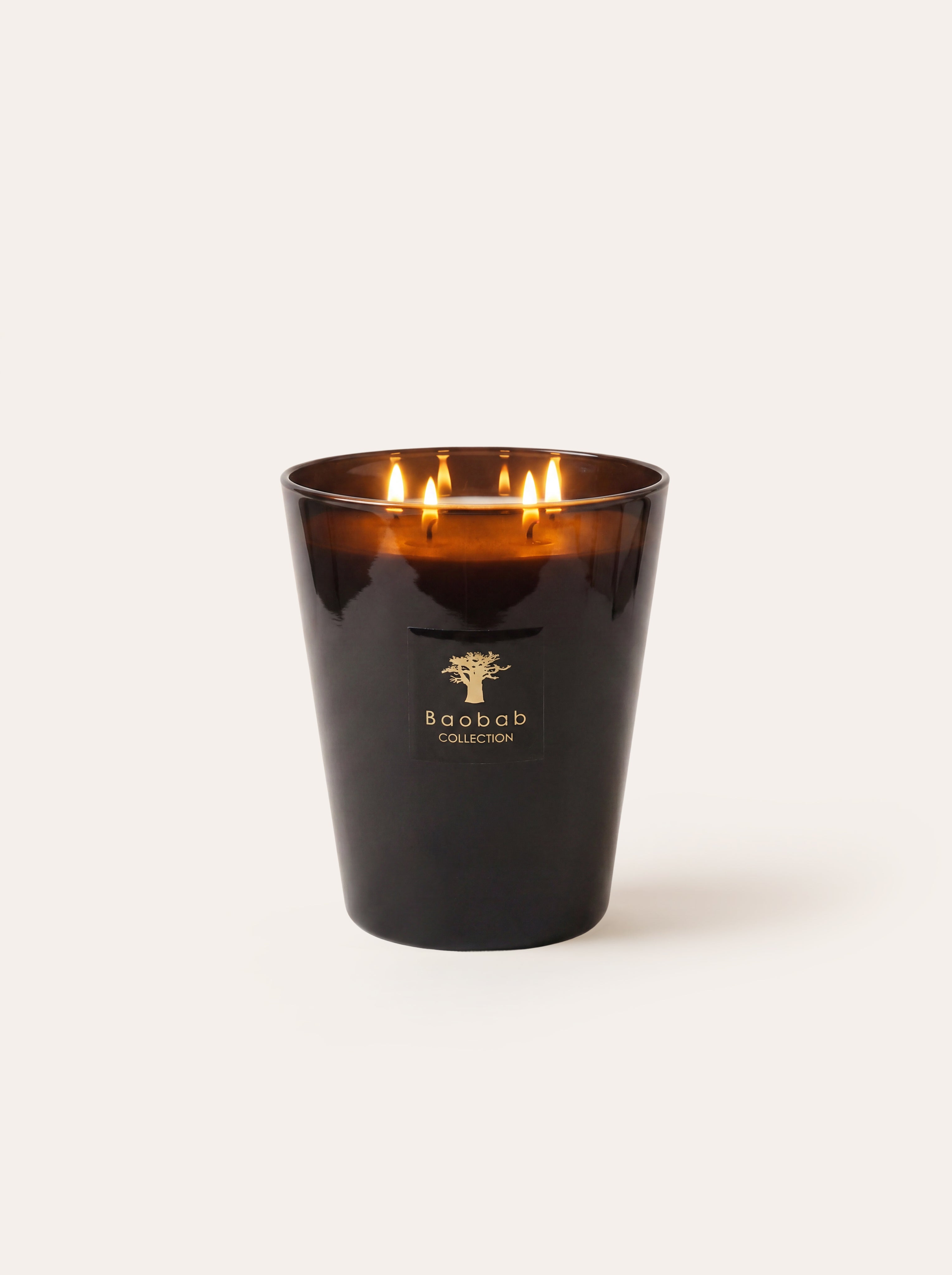 baobab-les-prestigieuses-encre-de-chine-bougie-classique image 5