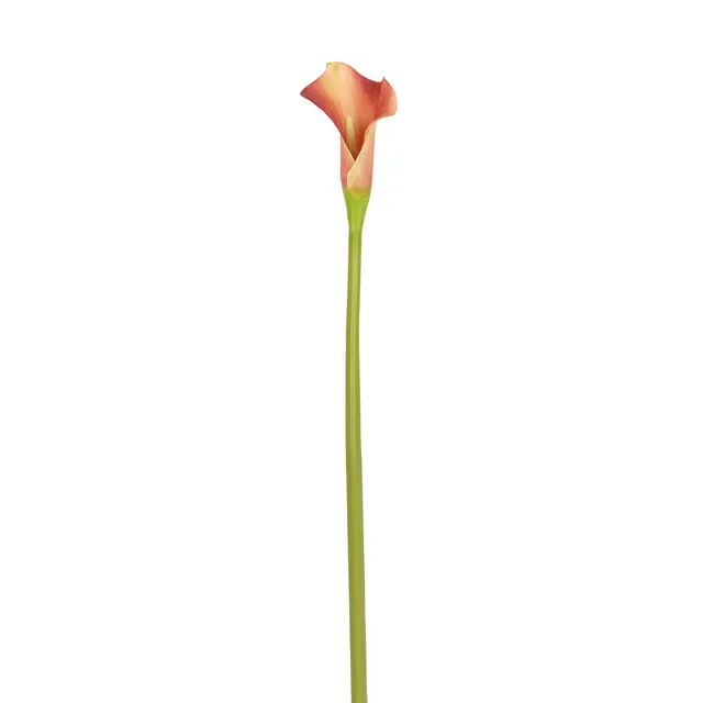 sia-noah-arum-kelly-artificiel-52-cm-orange image 1