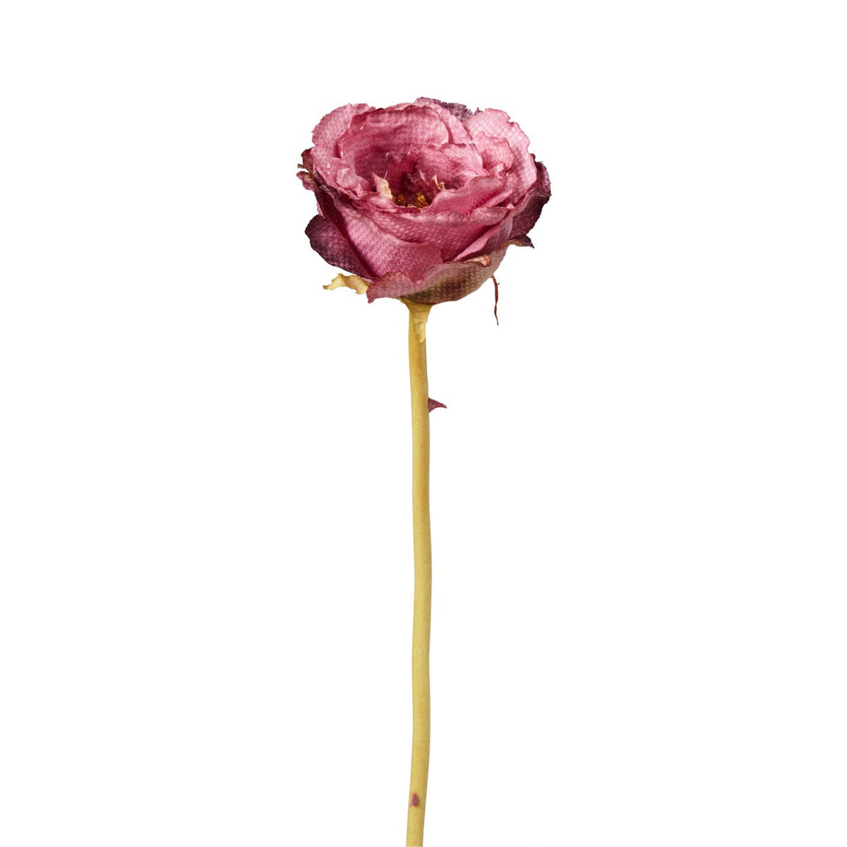 sia-noah-leslie-tige-rose-artificielle-marron-55-cm image 7