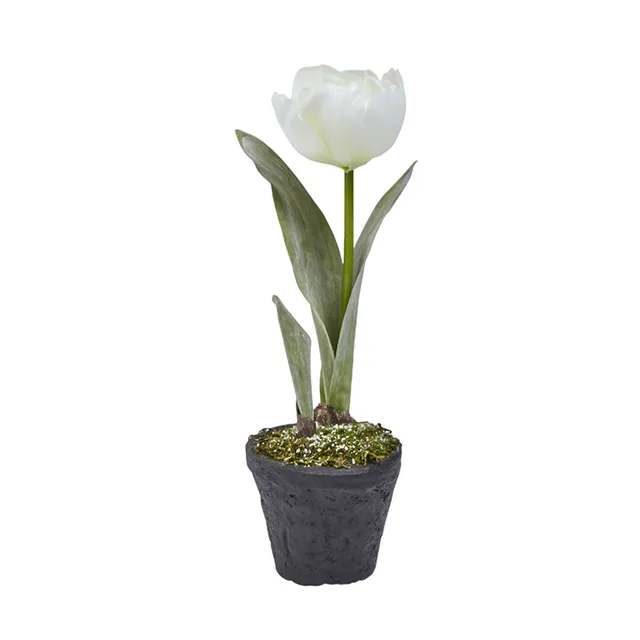 sia-deco-noah-tulipe-givr-e-plante-artificielle-blanc-pot-27-cm image 1