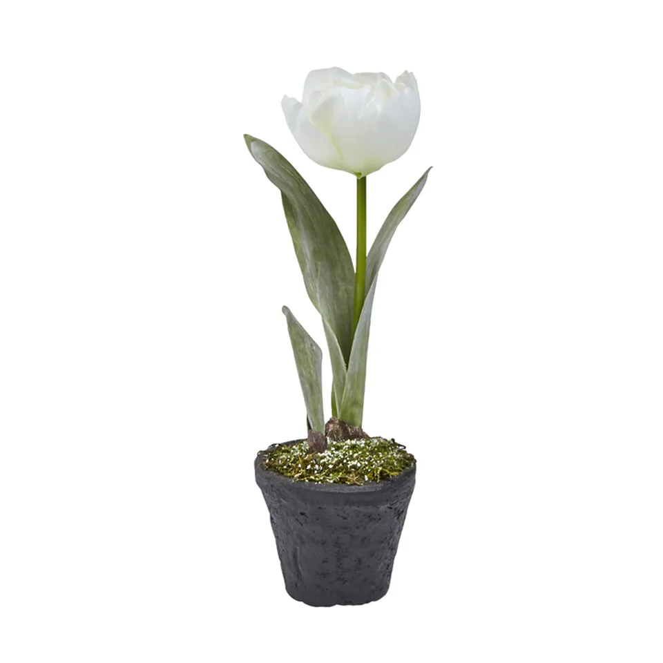 sia-deco-noah-tulipe-givr-e-plante-artificielle-blanc-pot-27-cm image 1