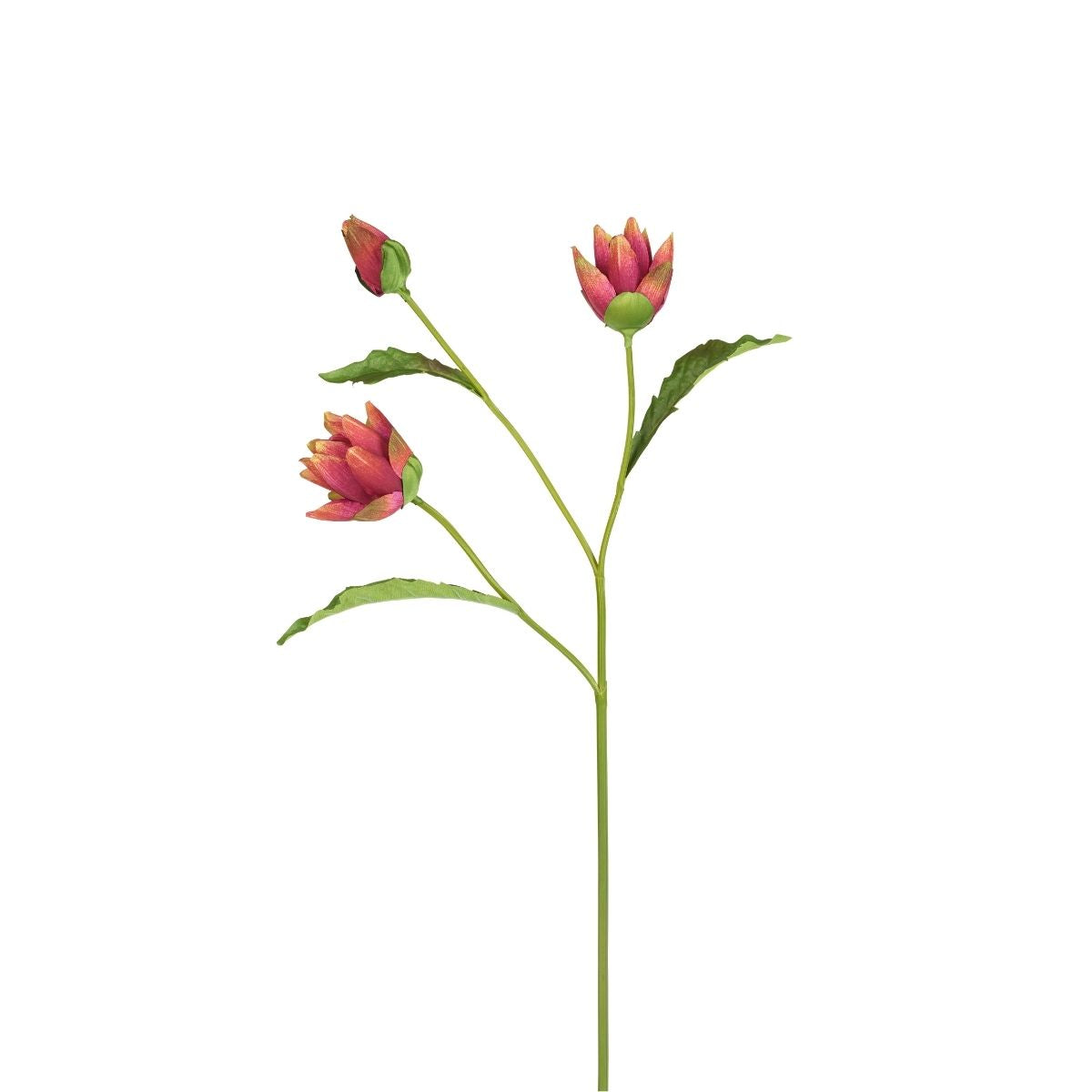 sia-deco-noah-tige-artichaut-fleur-artificielle-rose-79-cm image 1