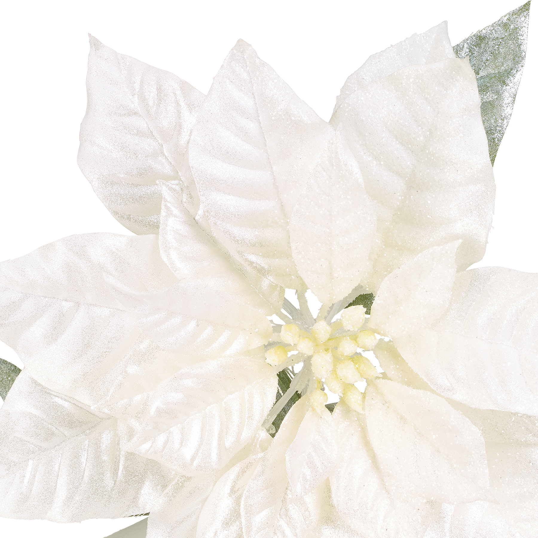sia-noah-poinsettia-tige-fleur-dor-e-80-cm image 5