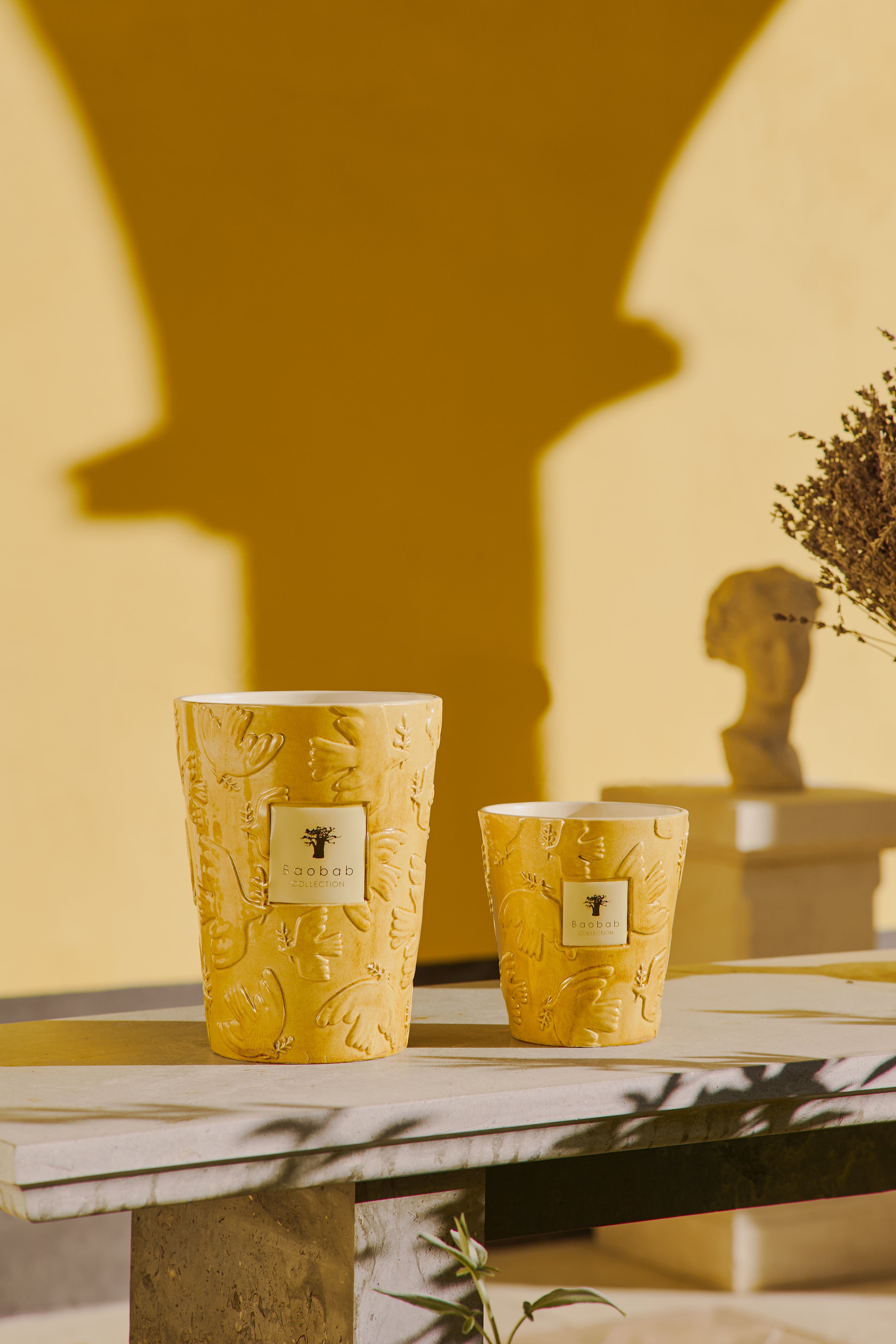 baobab-collection-paz-dove-bougie-parfum-e-classique-jaune image 2