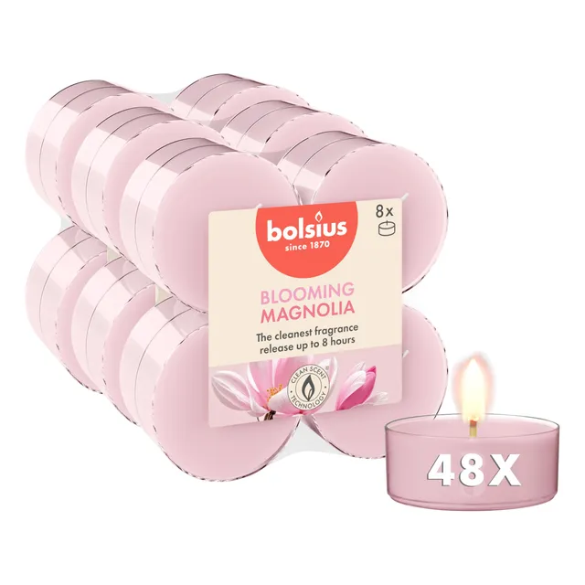 bolsius-bougies-chauffe-plat-parfum-es-magnolia-48-pi-ces-8h image 1