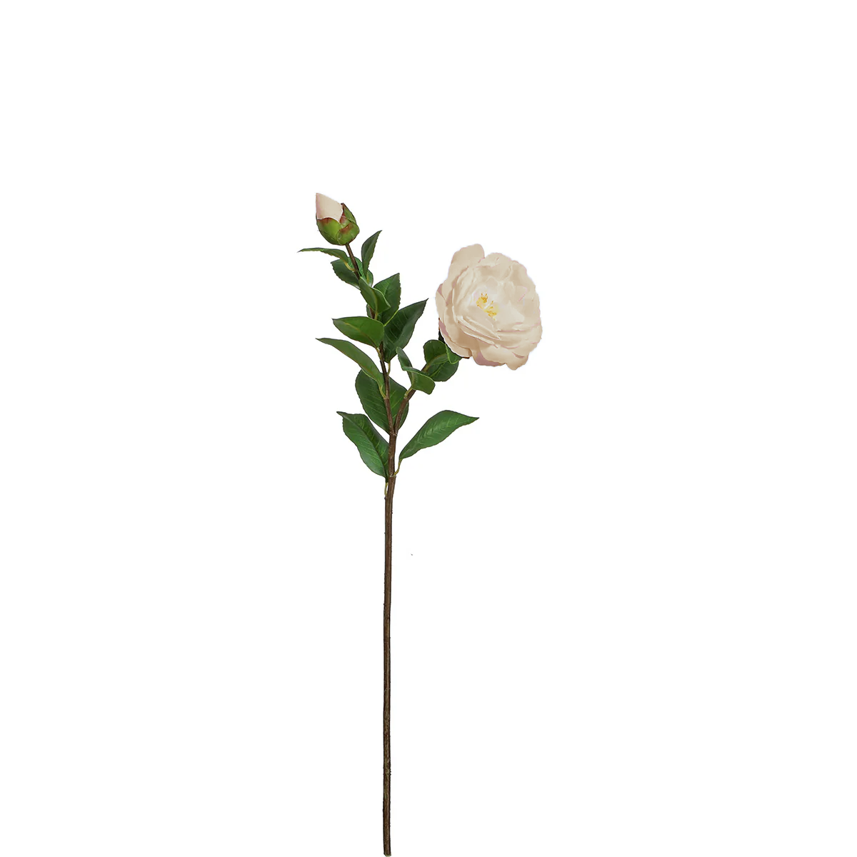 sia-noah-cam-lia-tige-fleur-artificielle-cr-me-52-cm image 1