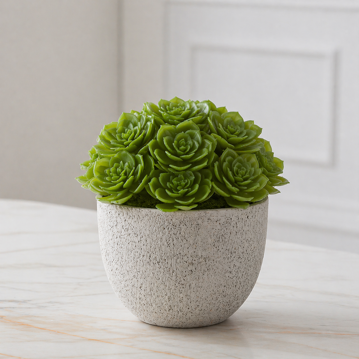 sia-deco-noah-succulente-piquer-verte-30-cm-echeveria image 2