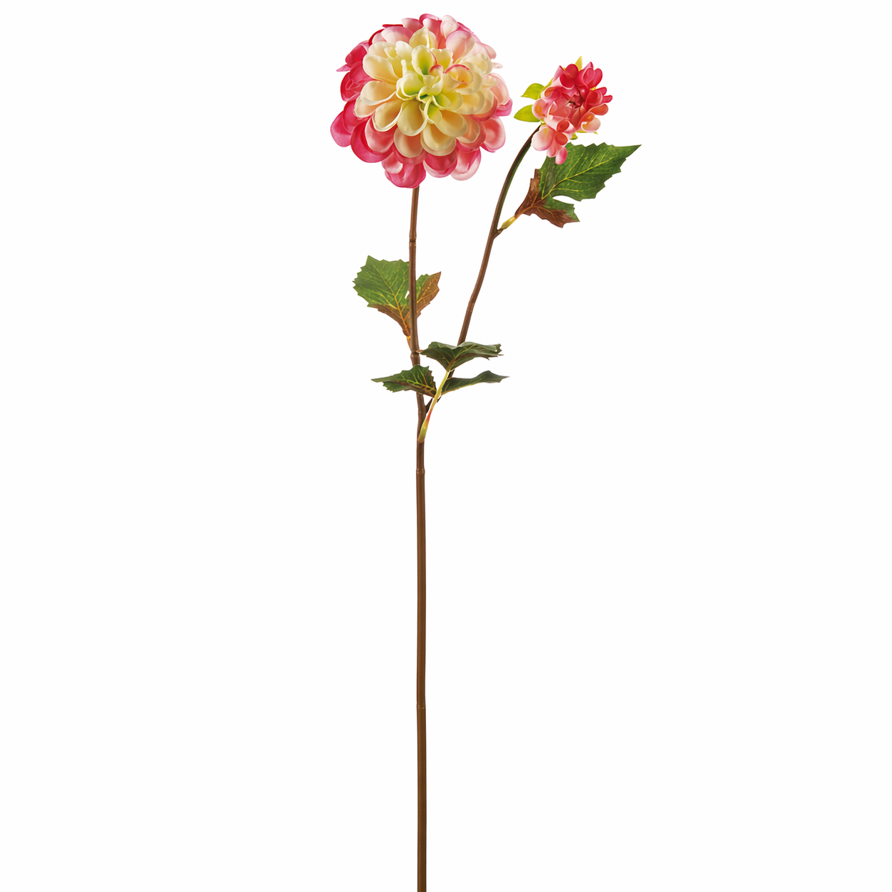 sia-deco-noah-andreas-tige-dahlia-rose-jaune-50cm image 5