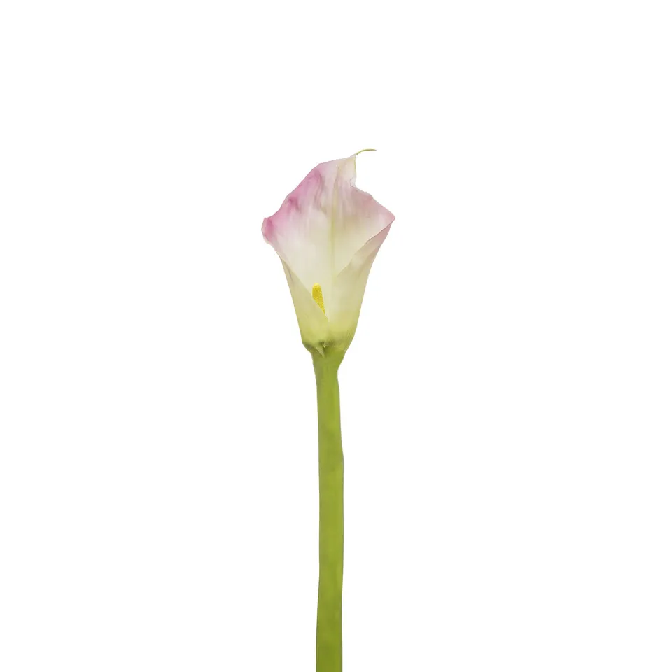 sia-deco-noah-arum-kelly-fleur-artificielle-rose-92-cm image 1