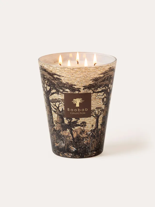 baobab-collection-sacred-trees-mankono-bougie-classique-pic-e image 1