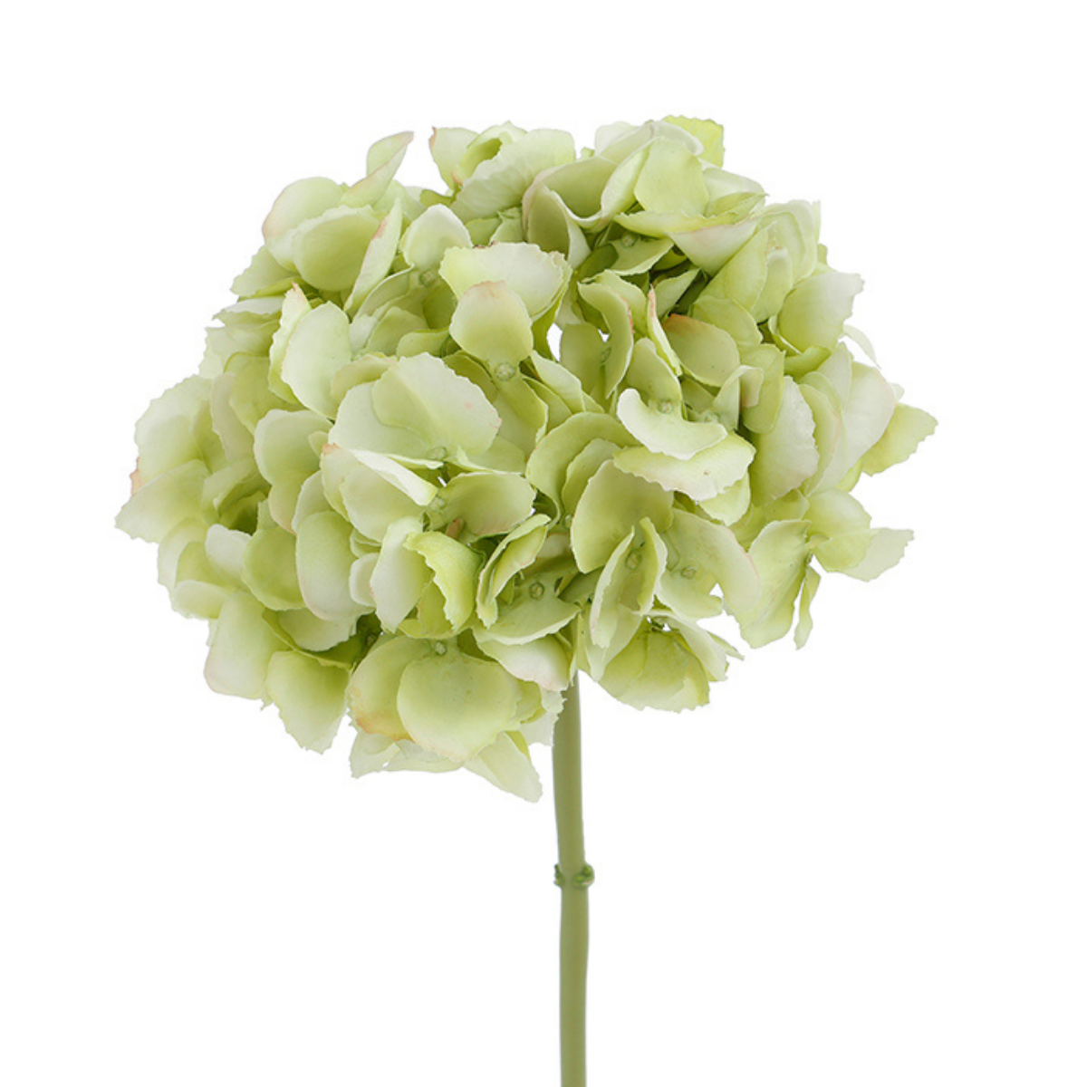 sia-noah-tige-hortensia-premium-bleu-48-cm image 7
