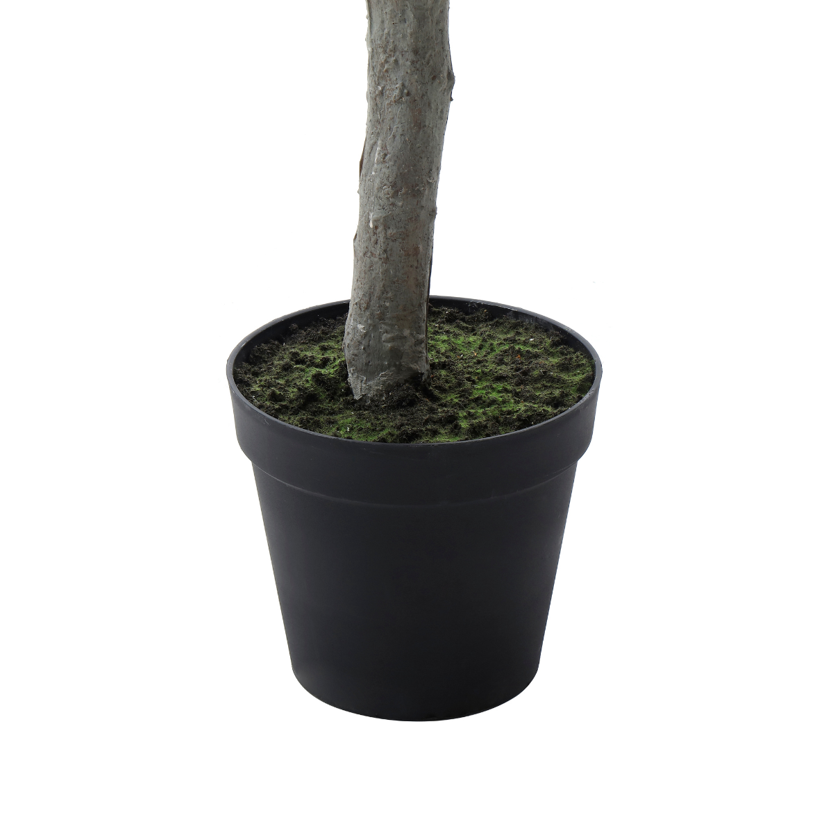 sia-deco-noah-olivier-en-pot-arbre-artificiel-vert-240-cm image 4