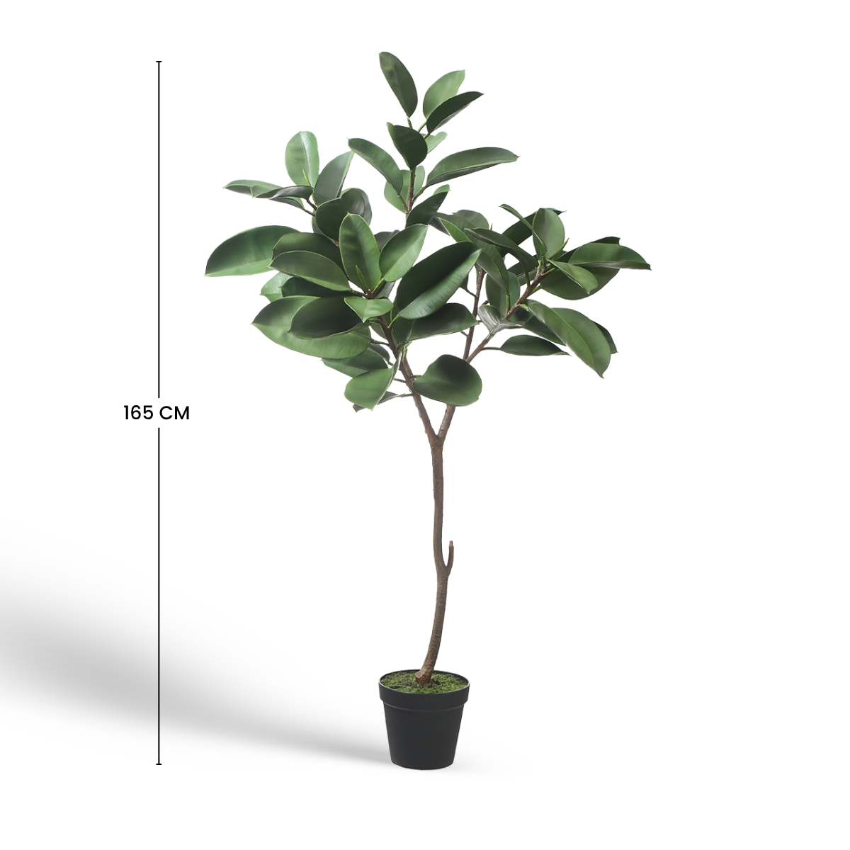 sia-noah-ficus-artificiel-vert-en-pot-165-cm-r-aliste image 6
