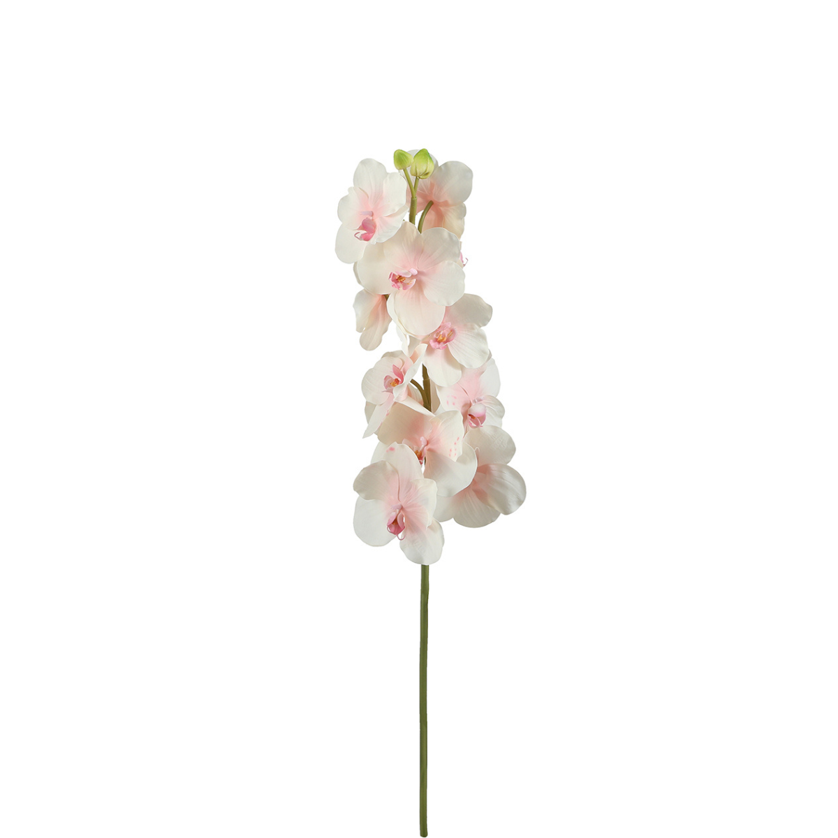 sia-noah-bandailan-tige-orchid-e-artificielle-66-cm-blanc image 4