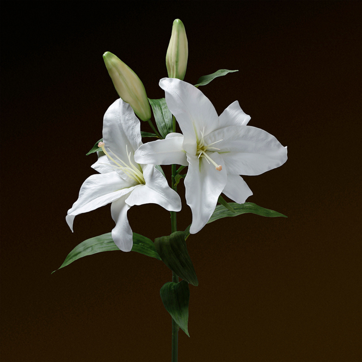 sia-deco-noah-lys-casablanca-premium-95-cm-fleur-blanc image 2
