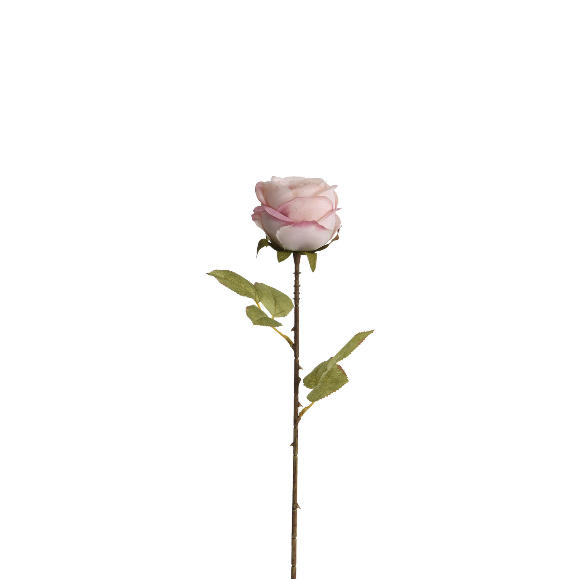 sia-noah-tige-rose-artificielle-56-cm-rose image 1