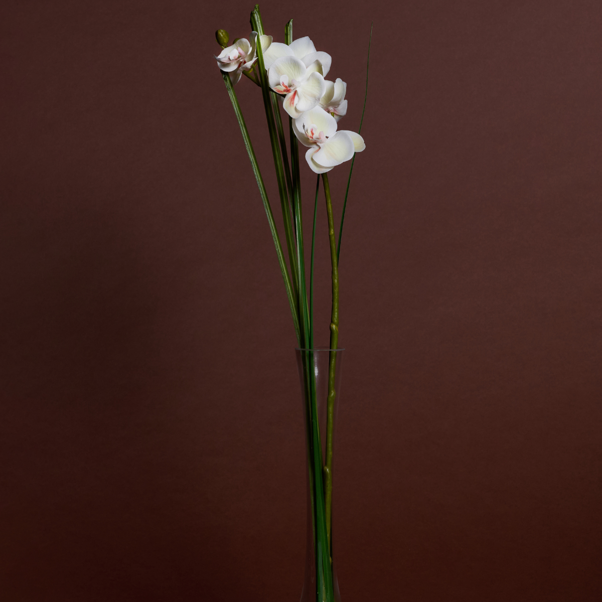 sia-deco-noah-orchid-e-eau-60-cm-cr-me-verre image 3