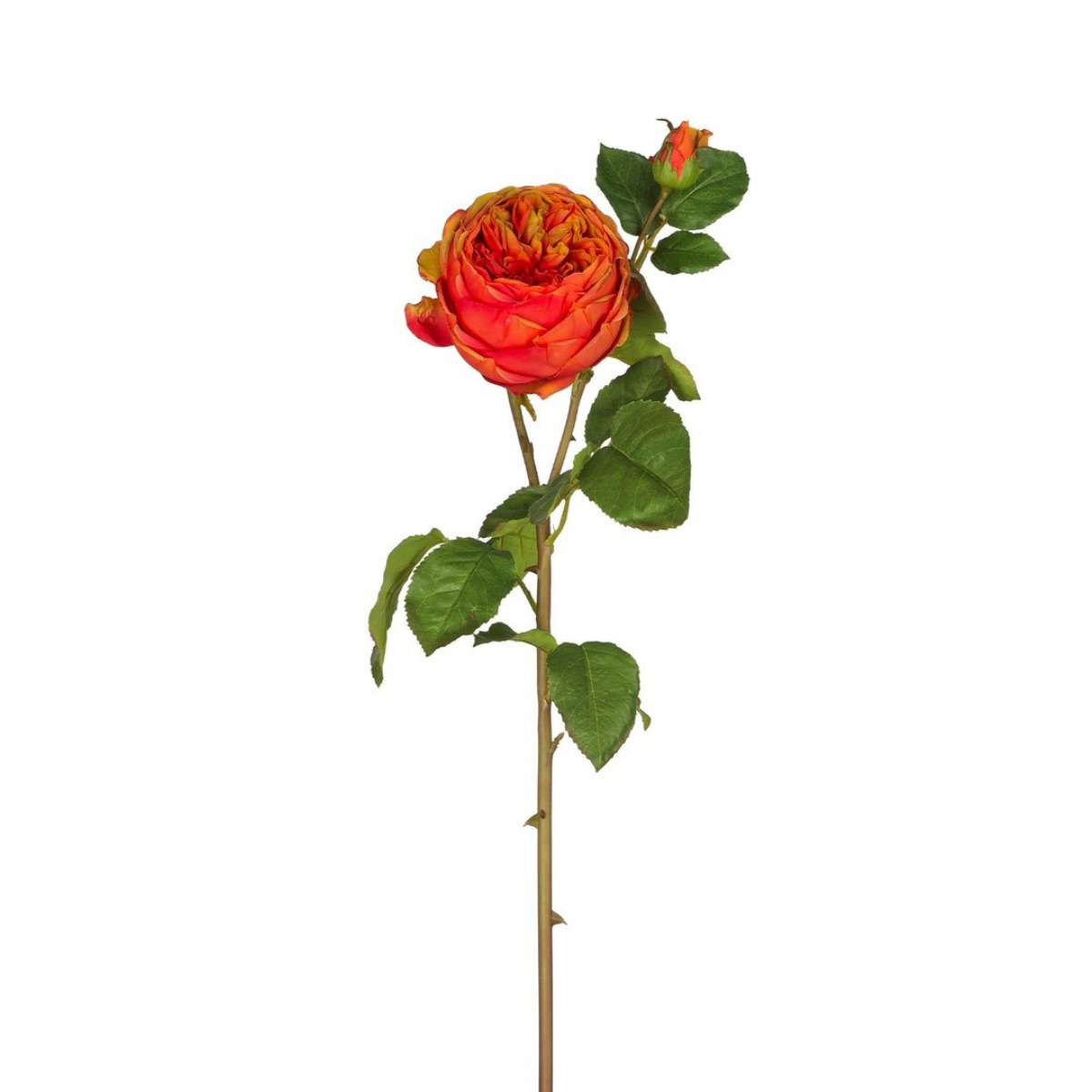 sia-deco-noah-david-tige-rose-ferm-e-artificielle-rose-p-le-80cm image 5