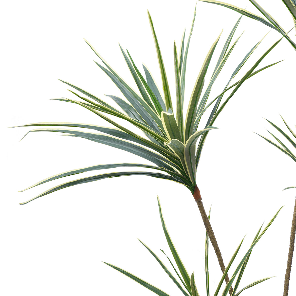sia-deco-noah-yucca-arbre-artificiel-vert-155-cm-en-pot image 3