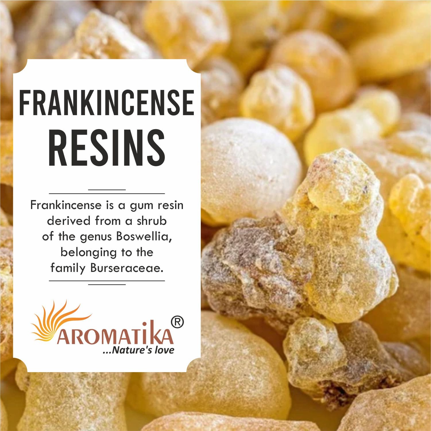 aromatika-frankincense-r-sine-d-encens-50g-oliban image 3